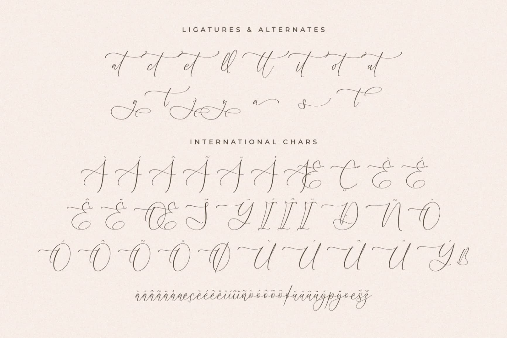 Preview 14 for Hiratage Simplenta – New Beauty Calligraphy