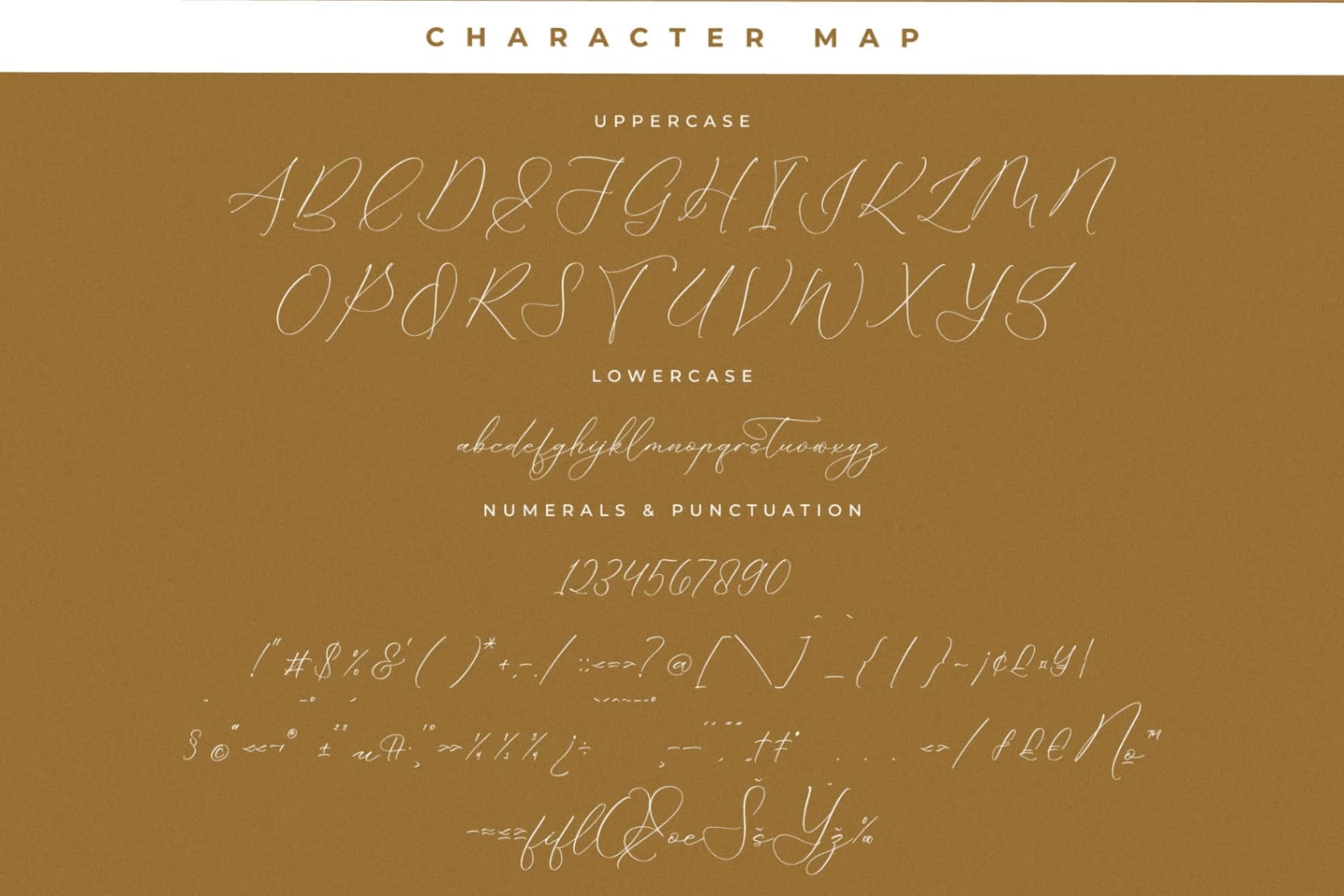 Preview 13 for Portterda – Modern Calligraphy Font