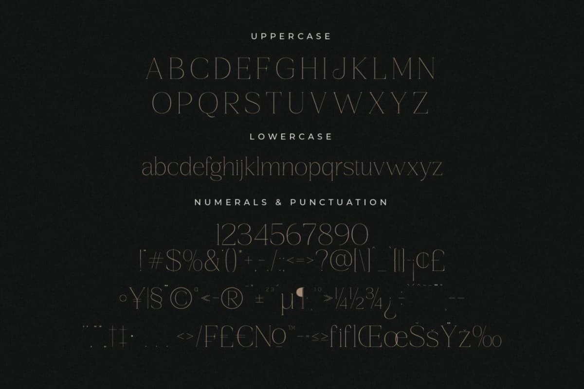 Gestiva - Elegant Modern Serif font preview 13