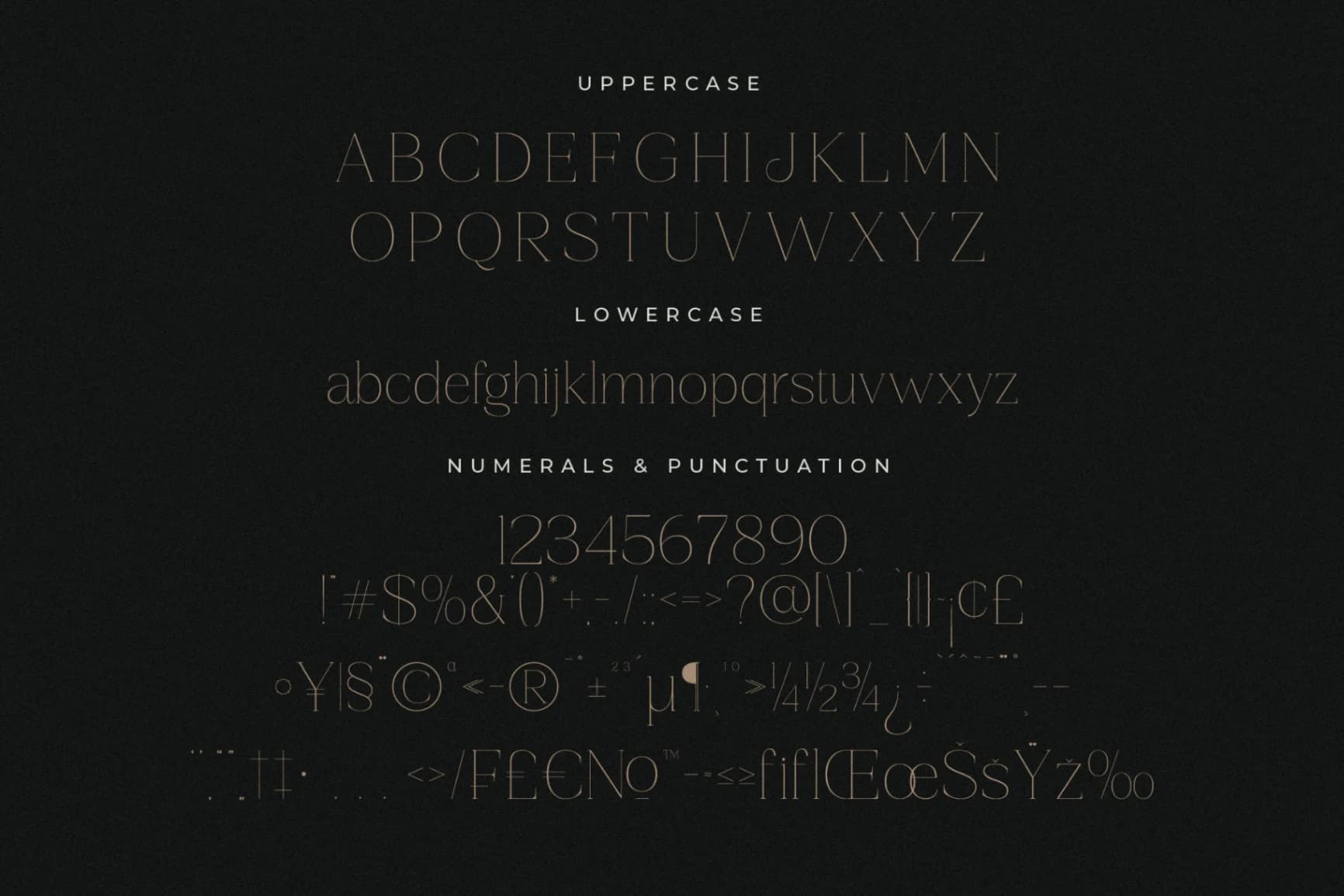 Preview 13 for Gestiva - Elegant Modern Serif