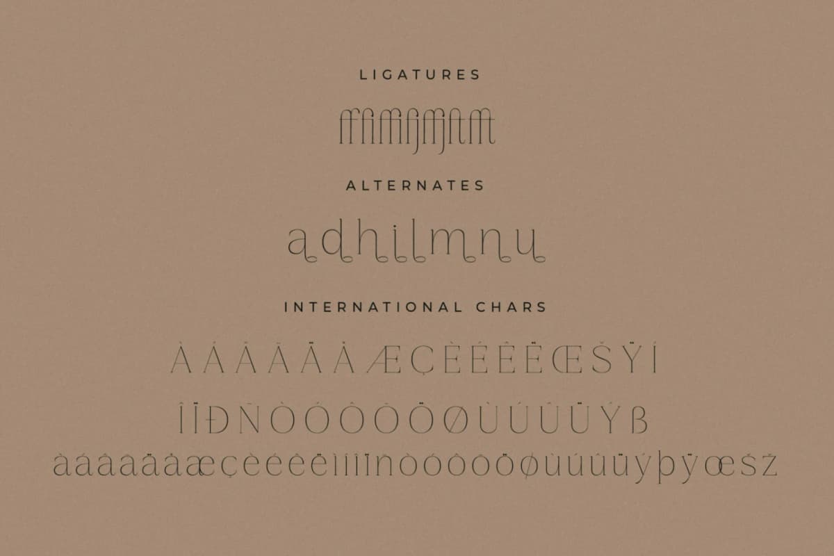 Gestiva - Elegant Modern Serif font preview 14