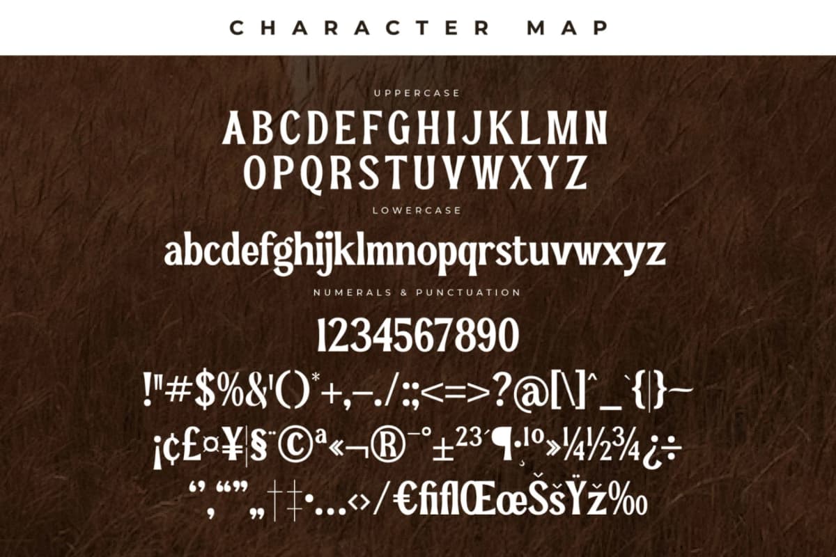 Preview 13 for Pearl Hirenha - Modern Serif Font