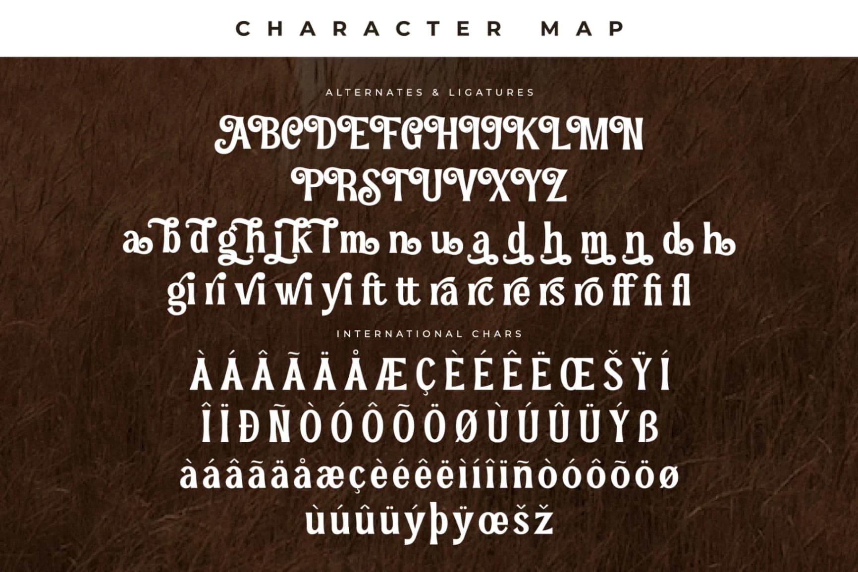 Preview 14 for Pearl Hirenha - Modern Serif Font