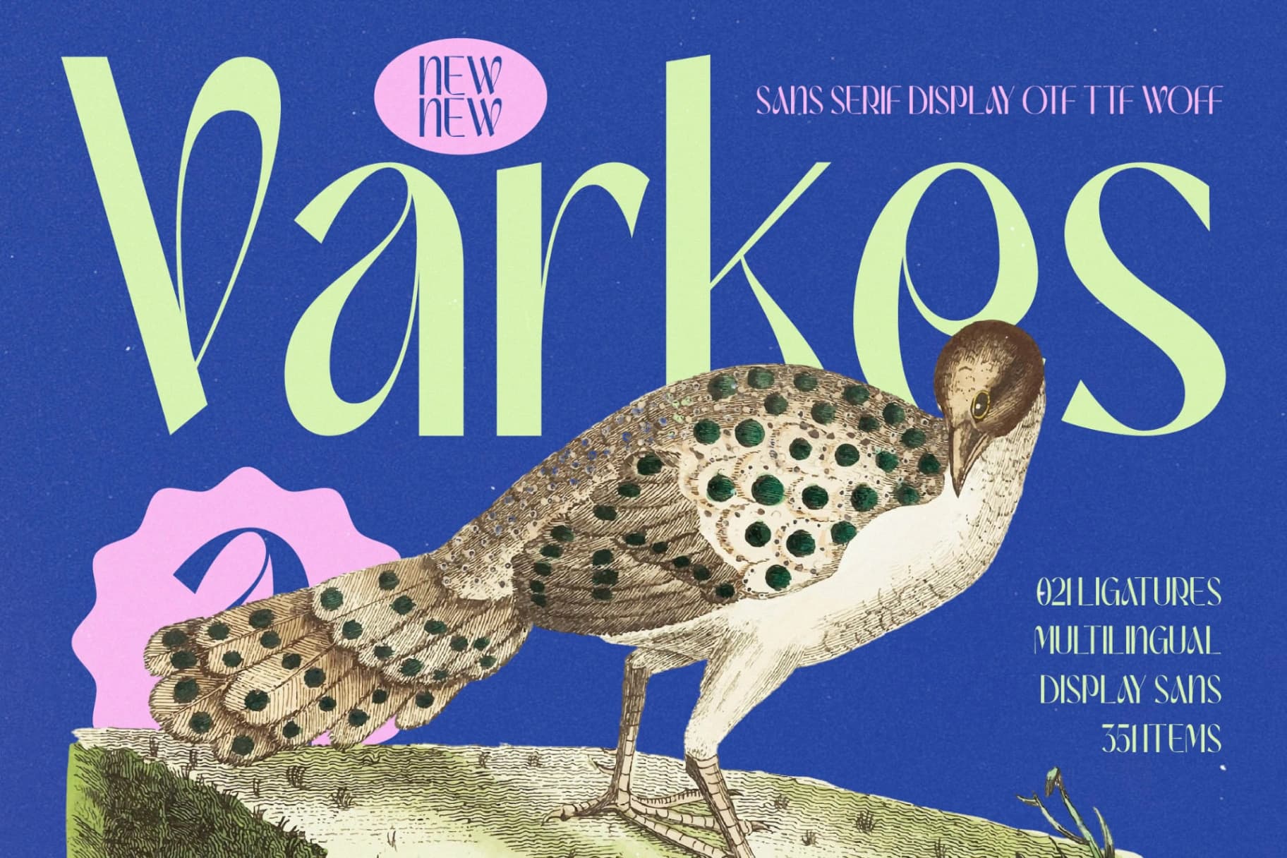 Preview of Varkes - Sans Serif Serif Display Font font