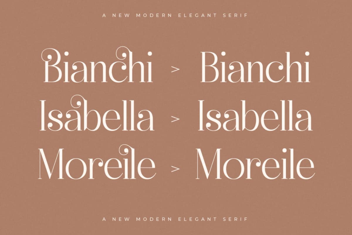 Preview 7 for Heyanik - New Modern Elegant Serif
