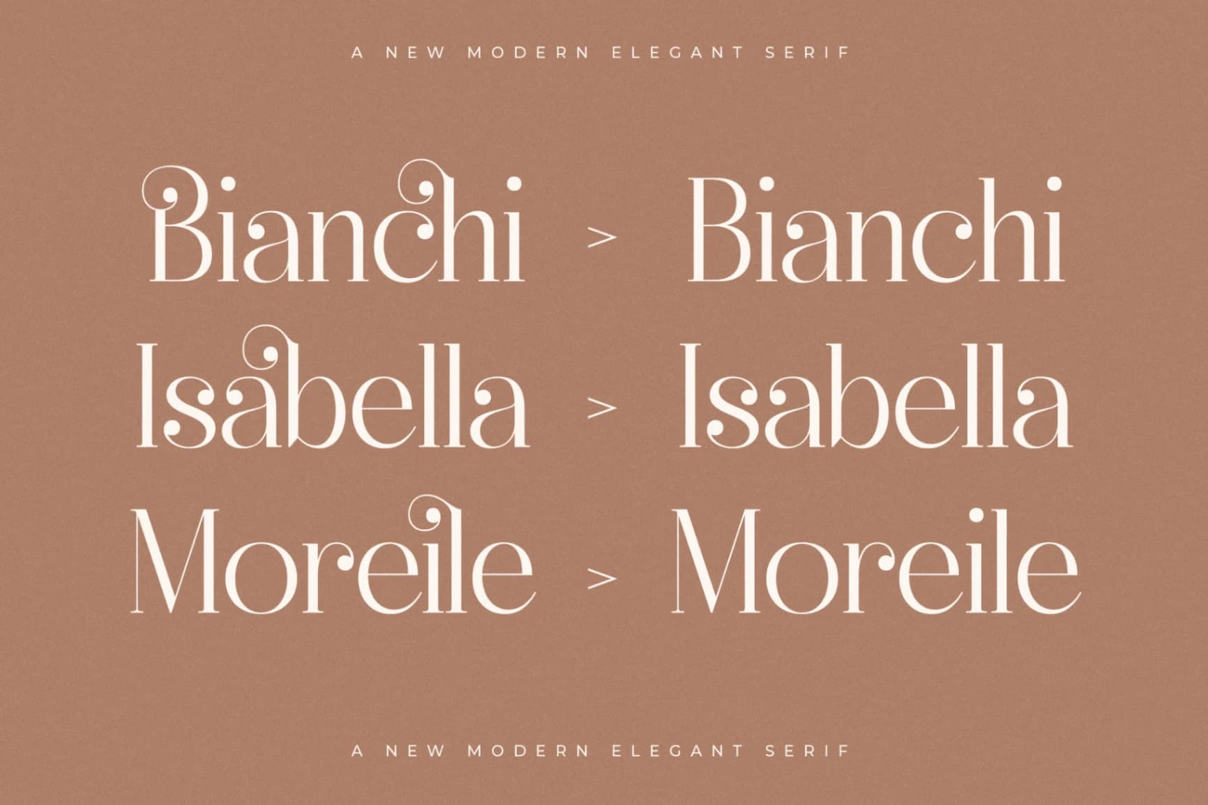 Preview 7 for Heyanik - New Modern Elegant Serif