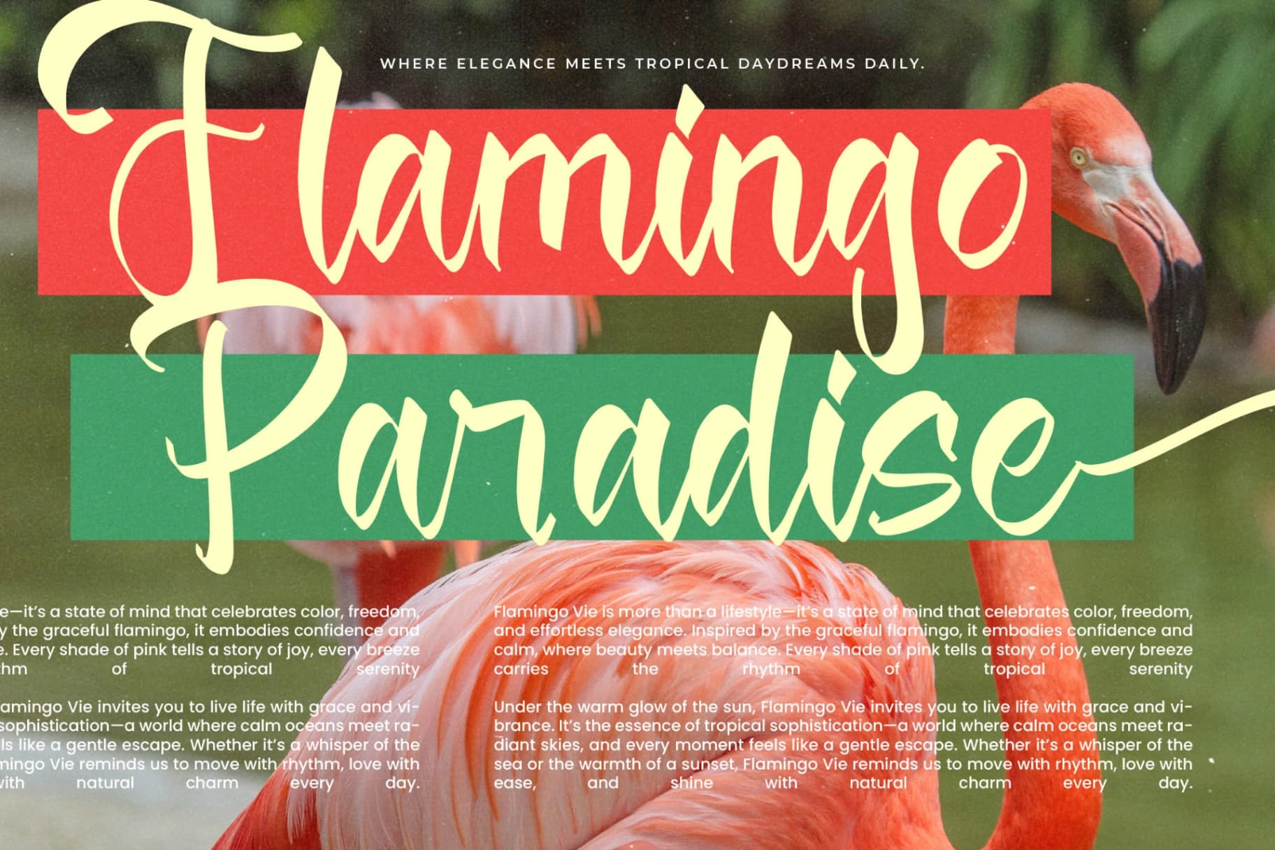 Preview 12 for Magic Soft - Bold Handwritten Font