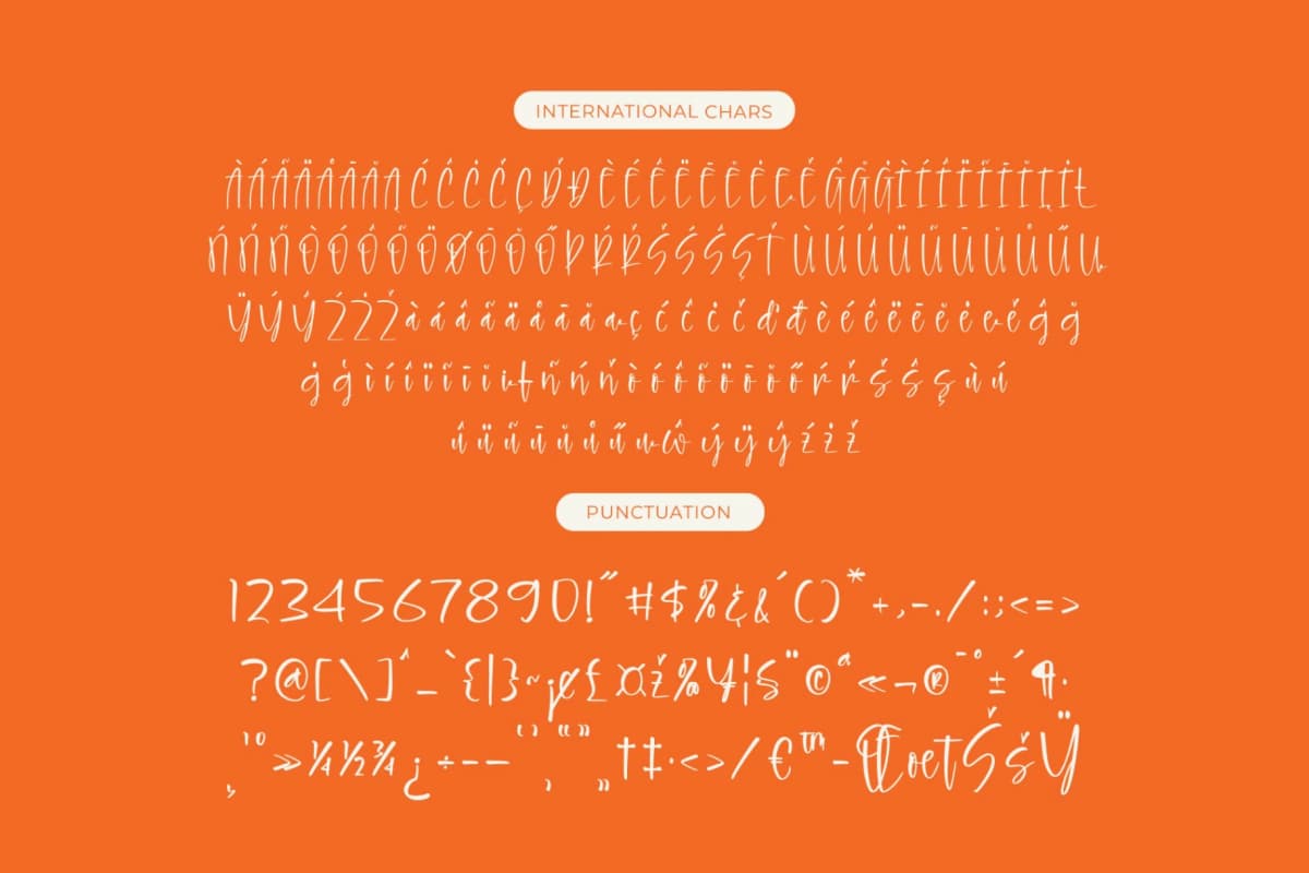 Hilarity Broadcast - Bold Handwritten Script font preview 14