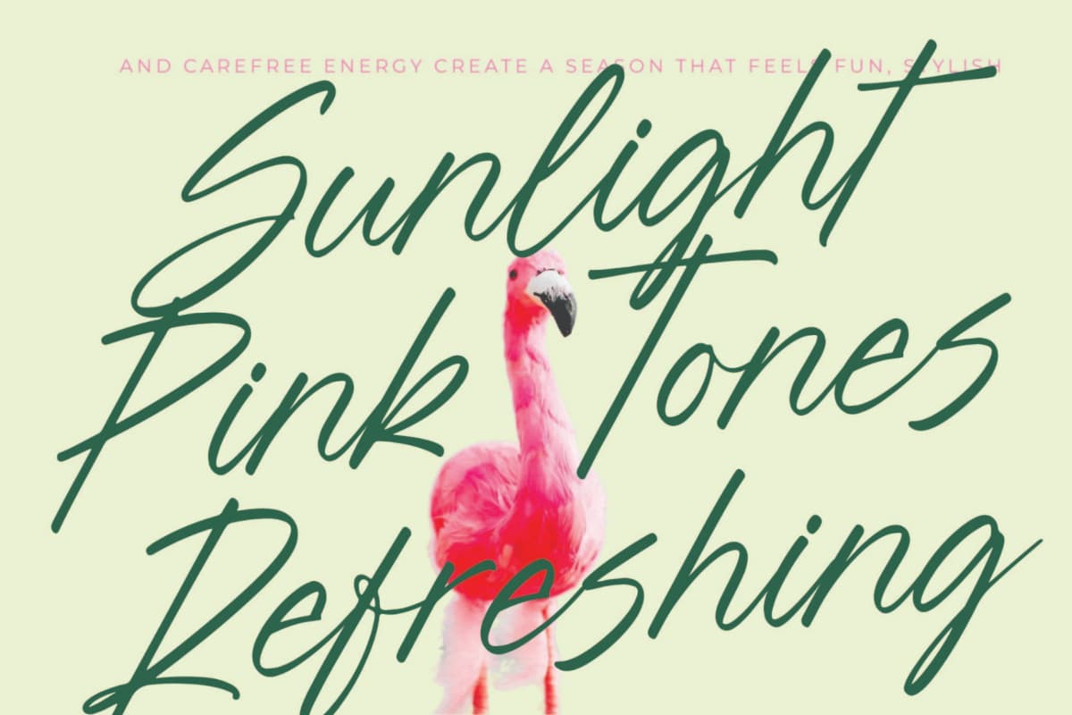 Blynkas Scripte – Aesthetic Handwritten Font font preview 2