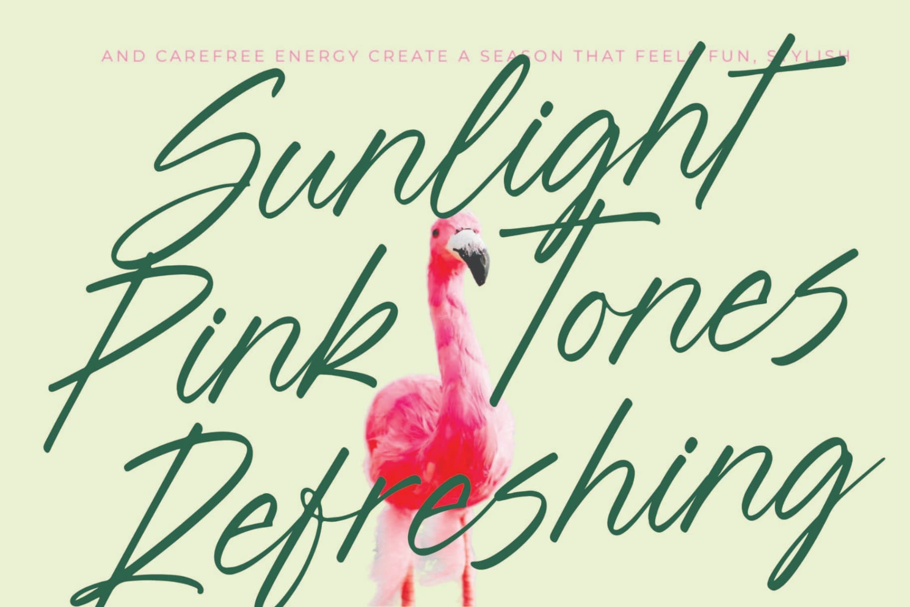 Preview 2 for Blynkas Scripte – Aesthetic Handwritten Font