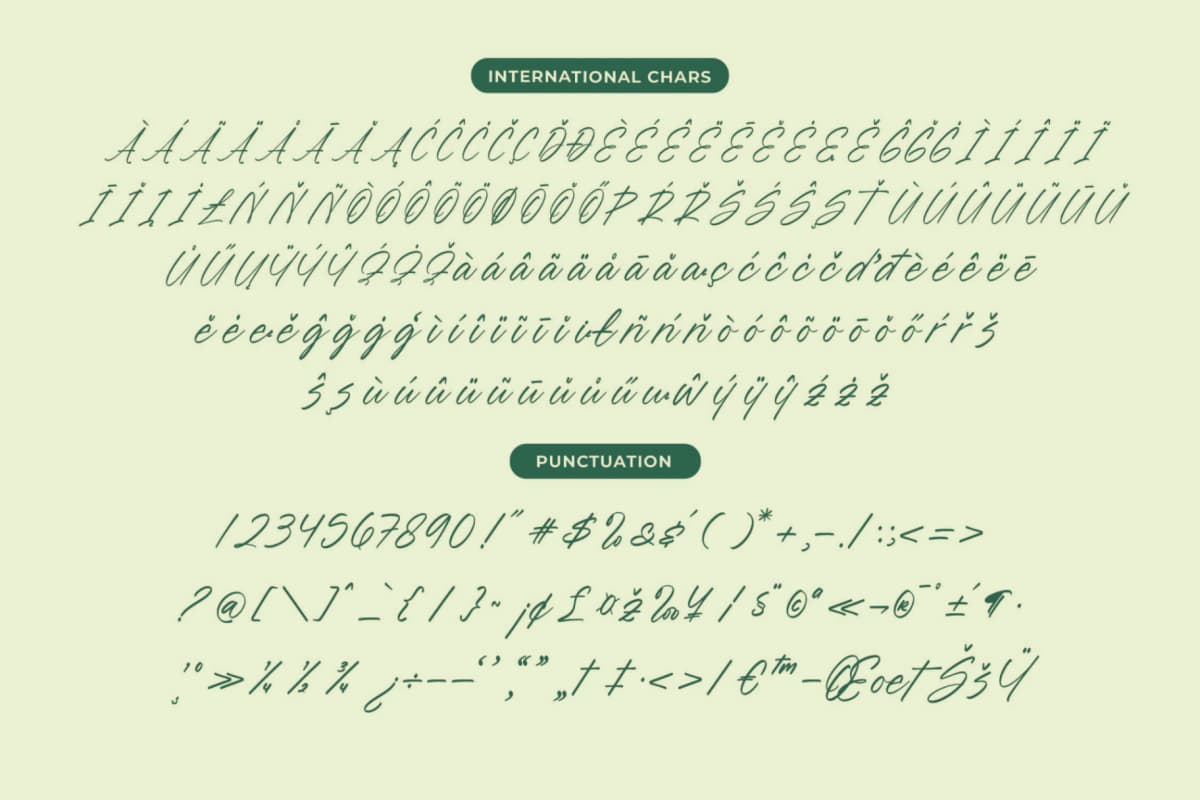 Blynkas Scripte – Aesthetic Handwritten Font font preview 14