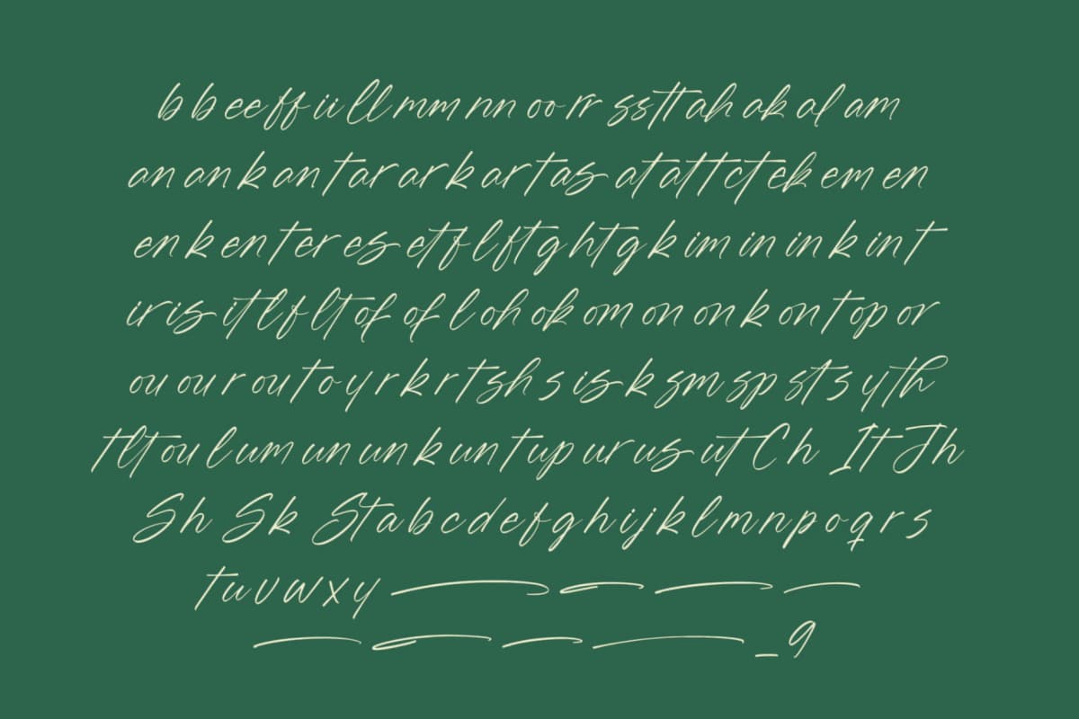 Blynkas Scripte – Aesthetic Handwritten Font font preview 13