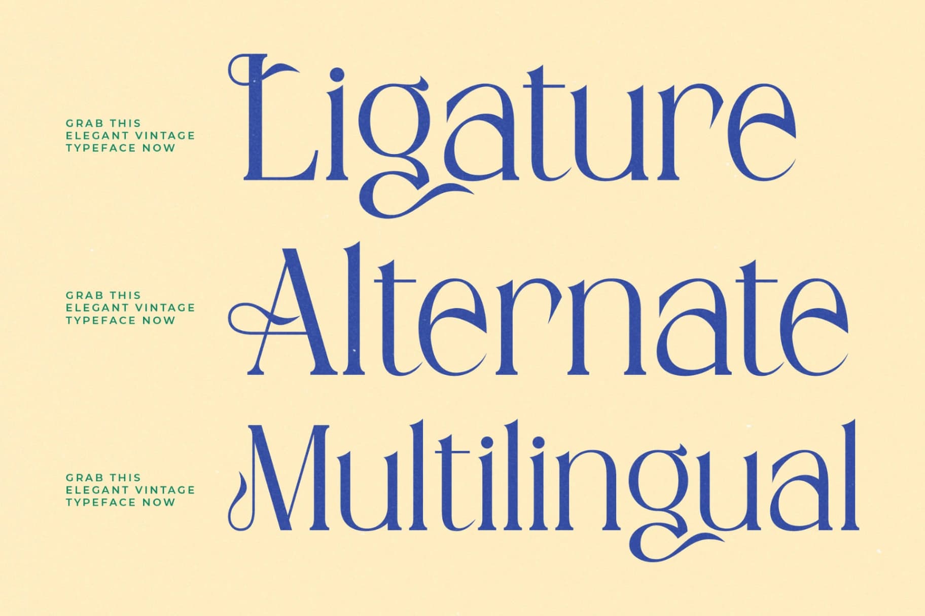 Preview 7 for Qeilgera - Modern Classic Serif Font
