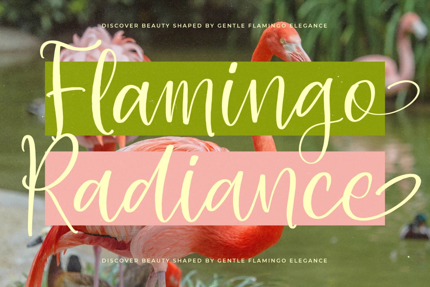 Preview 12 for Shelter Natural - Natural Handwritten Font