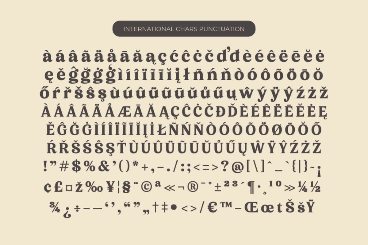 Sonttak - Bold Serif Display Font font preview 14