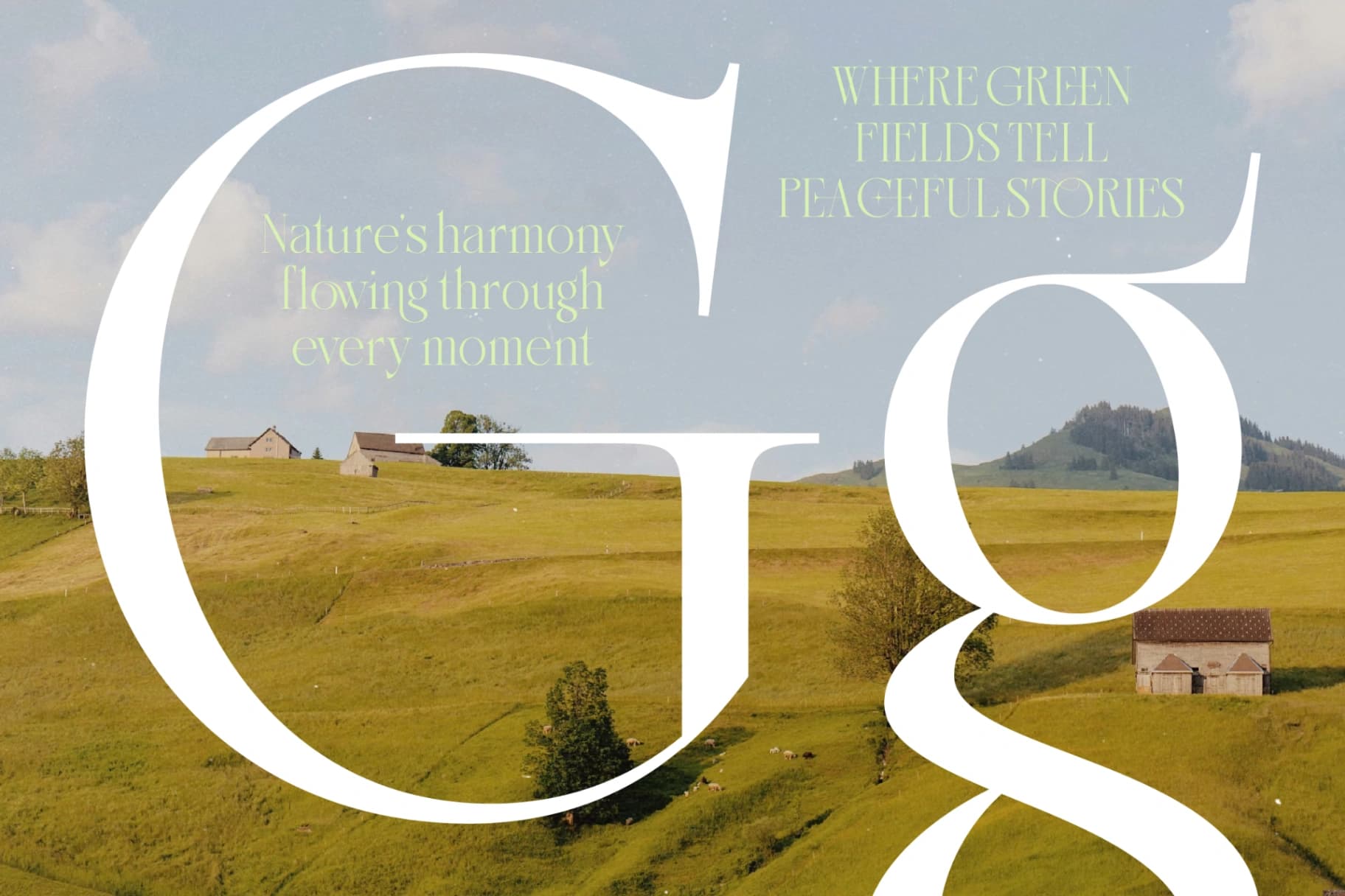 Preview 12 for Makcasa New Serif Display Typeface