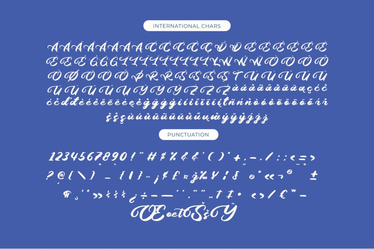 Palmeria Rooted - Bold Calligraphy Font font preview 14