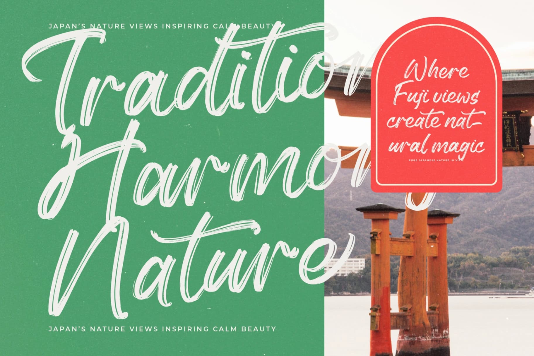 Preview 13 for History Silentos - Brush Script Font