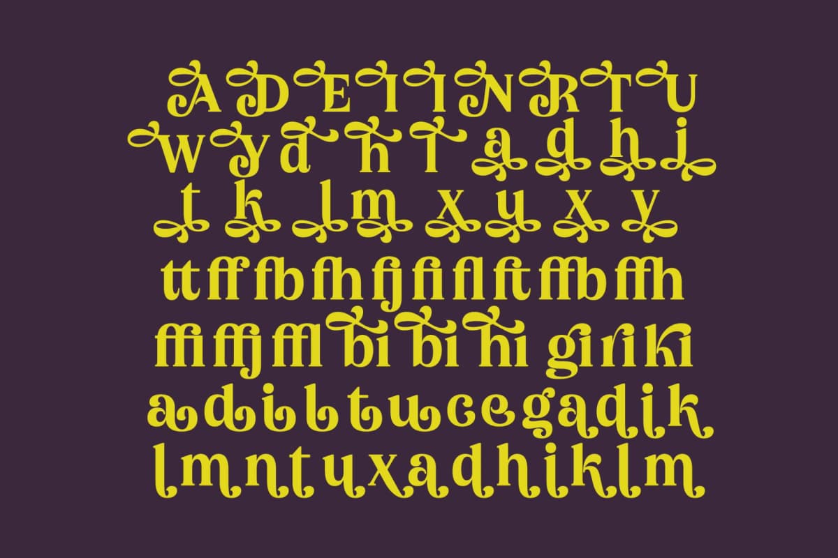 Bikers - Groovy Serif Display Font font preview 13