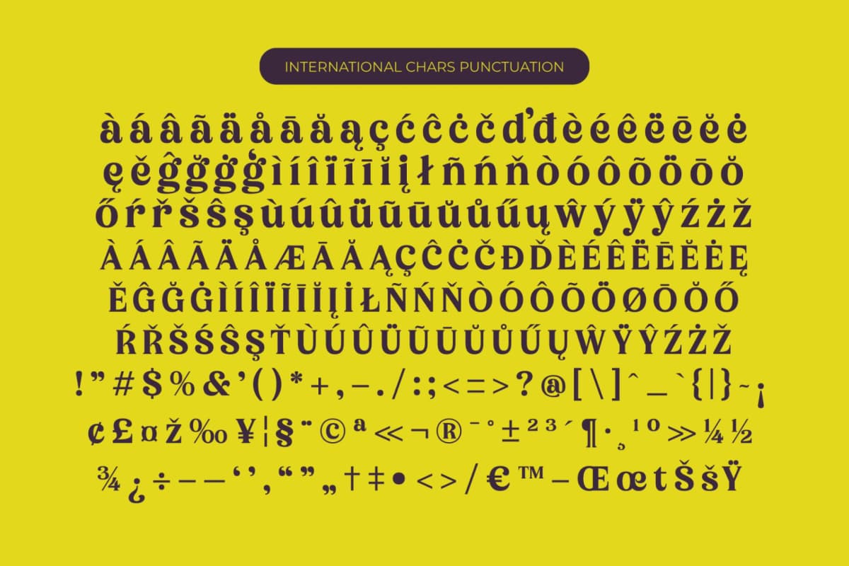 Bikers - Groovy Serif Display Font font preview 14