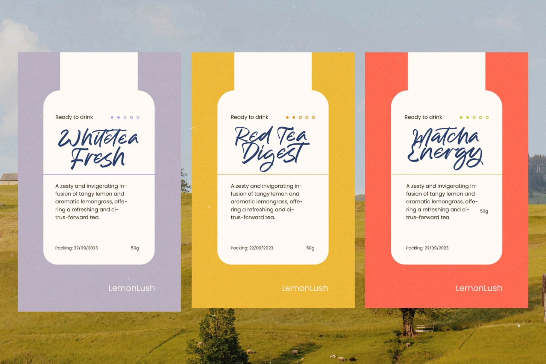 Preview 7 for Melody Life - Modern Handwritten Font