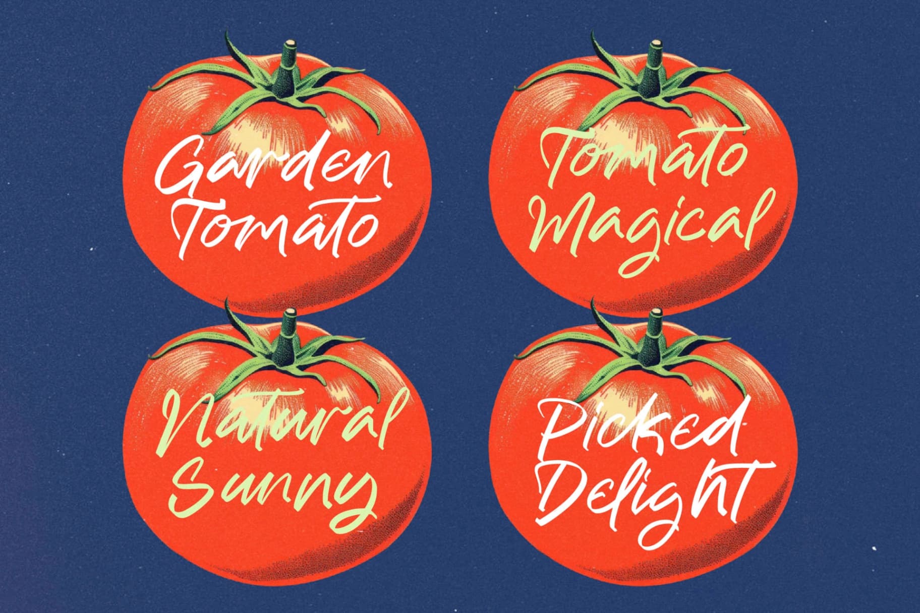 Preview 6 for Melody Life - Modern Handwritten Font
