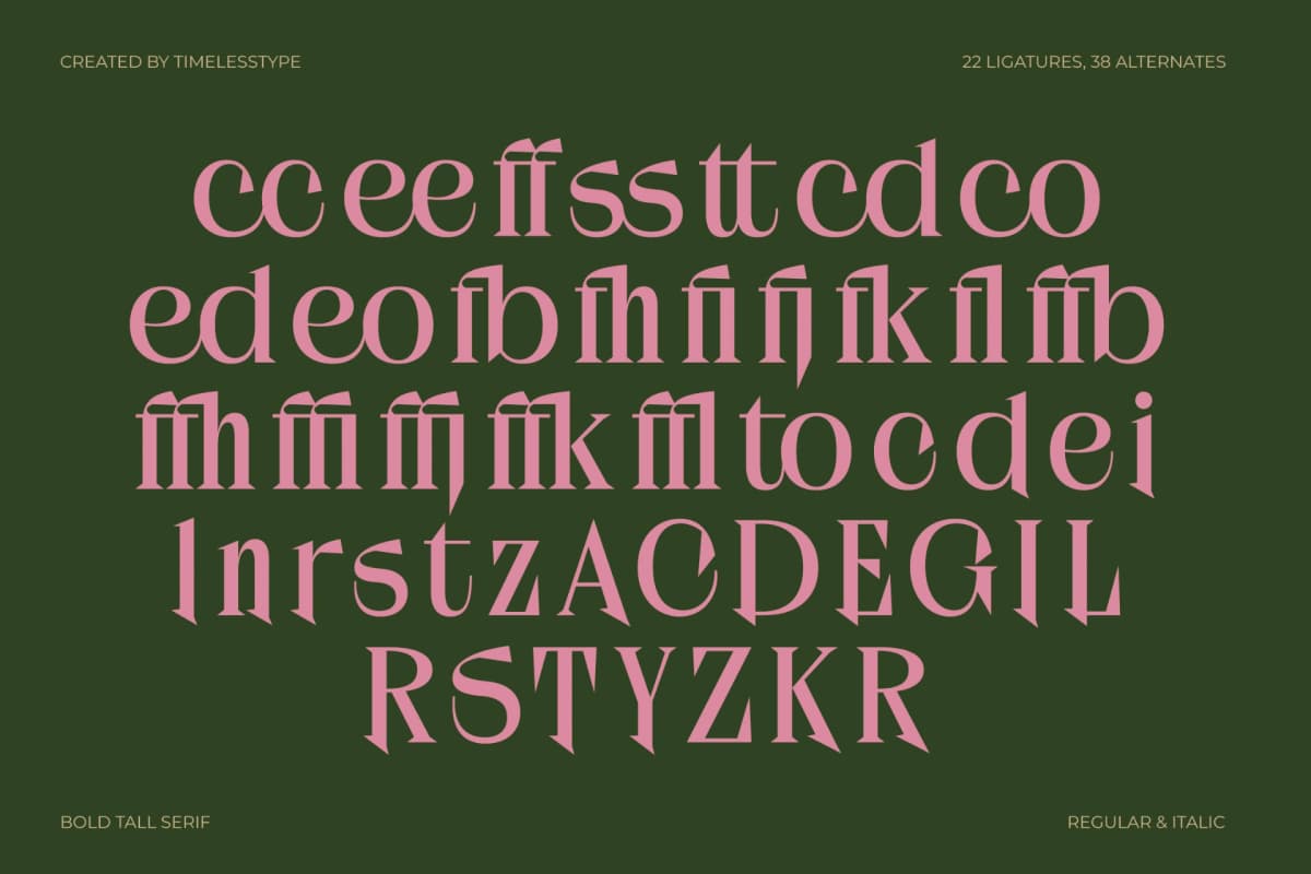 Kanoffe Dramed - Bold Tall Serif Font font preview 13