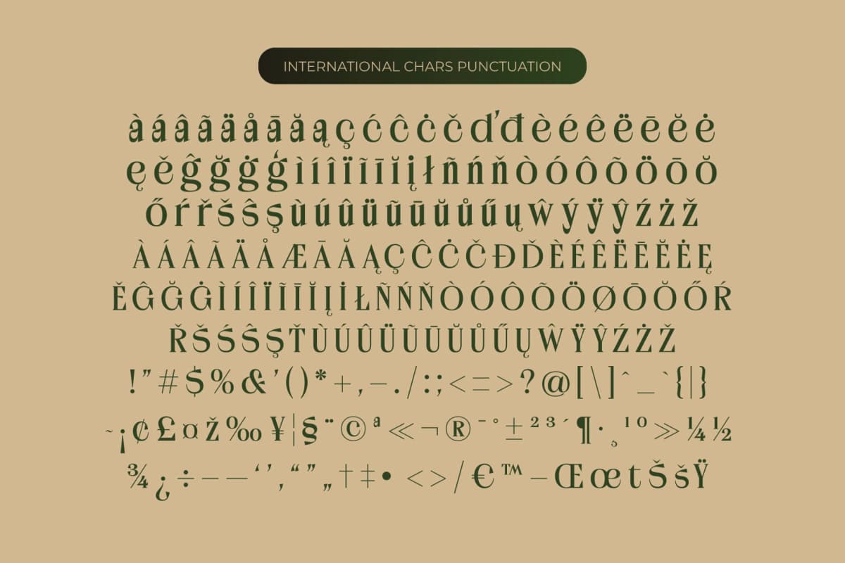 Kanoffe Dramed - Bold Tall Serif Font font preview 14