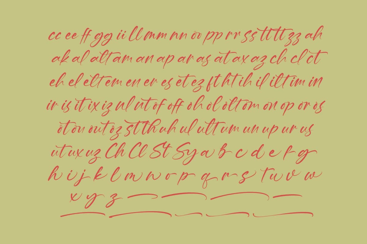 Hevling Justien – Bold Brush Font font preview 13