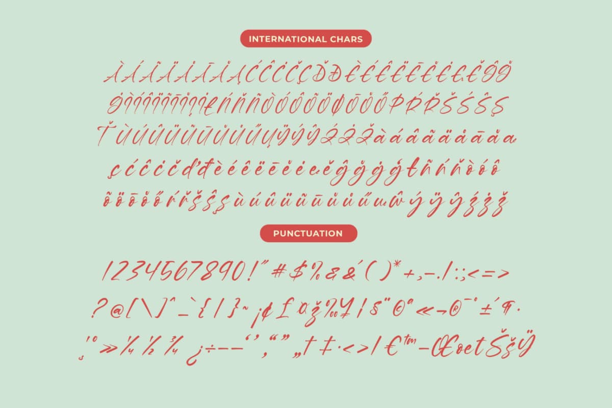Hevling Justien – Bold Brush Font font preview 14