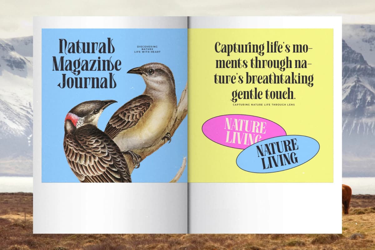 Bistoric Historic - Modern Vintage Serif font preview 14