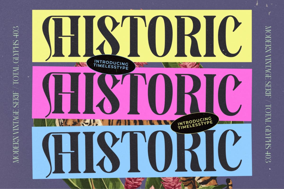Bistoric Historic - Modern Vintage Serif font preview 20