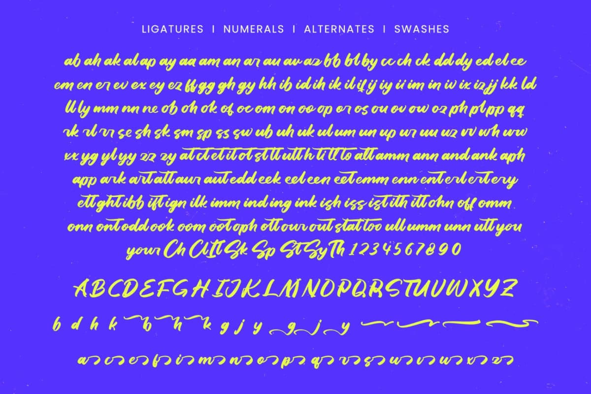 Dhaily Cluter – Bold Brush Font font preview 15