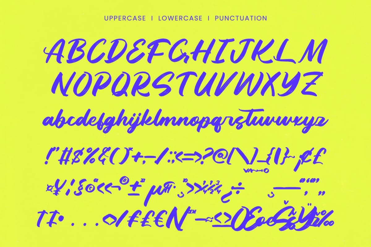 Dhaily Cluter – Bold Brush Font font preview 13
