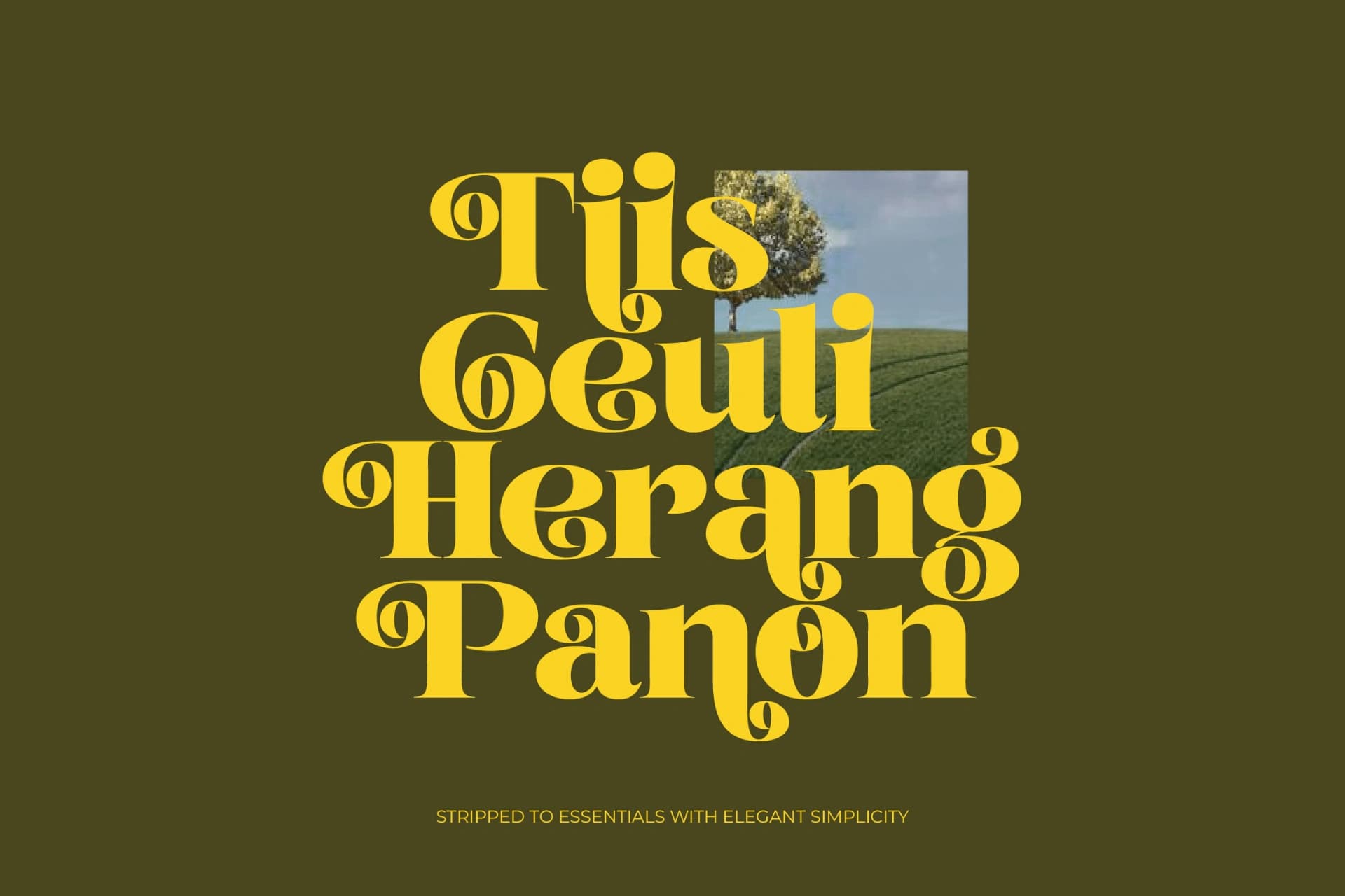 Preview 11 for Broftin Resort - Bold Serif Display