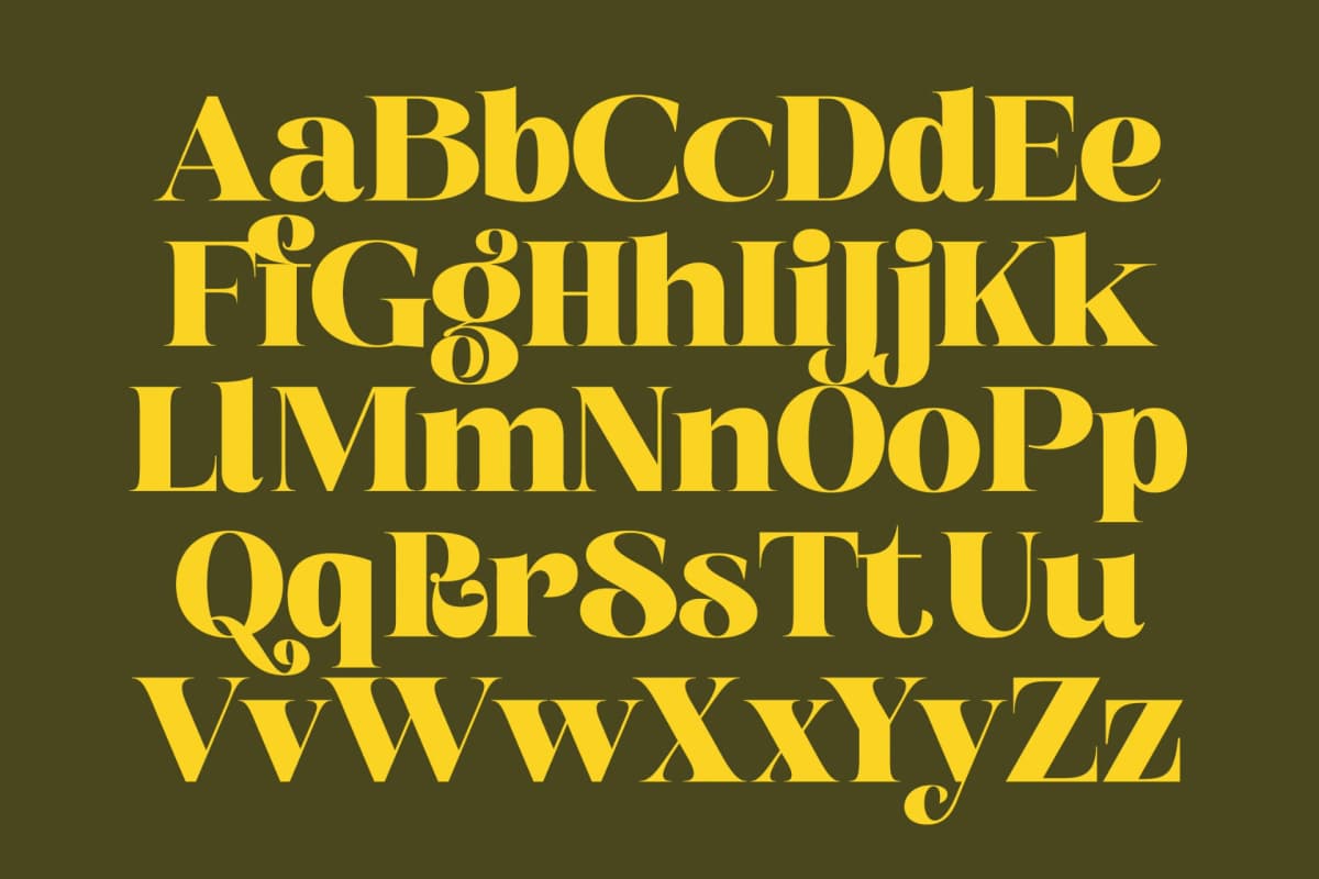 Broftin Resort - Bold Serif Display font preview 17