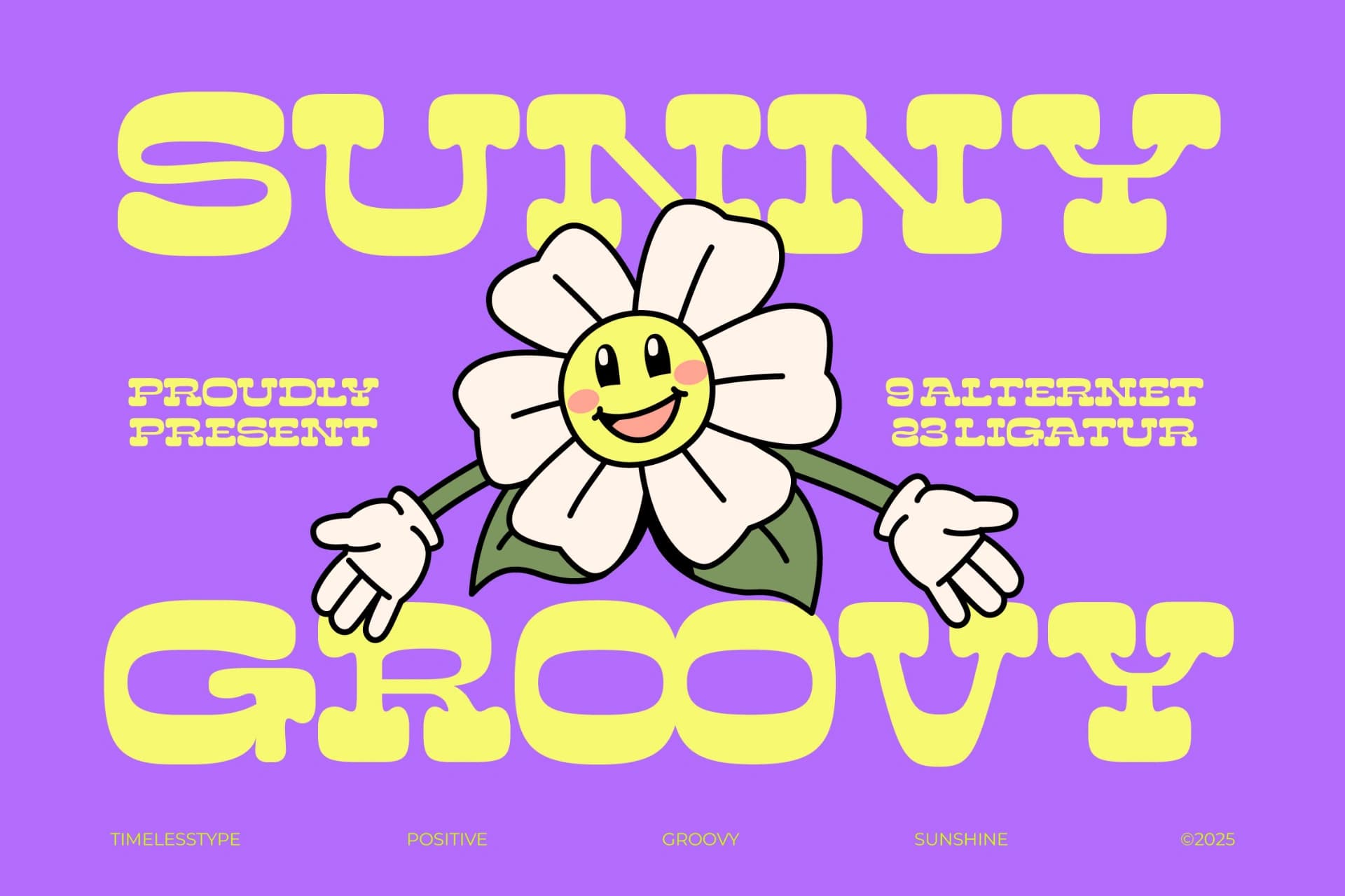 Preview of Sunny Groovy - Display Groovy Font font