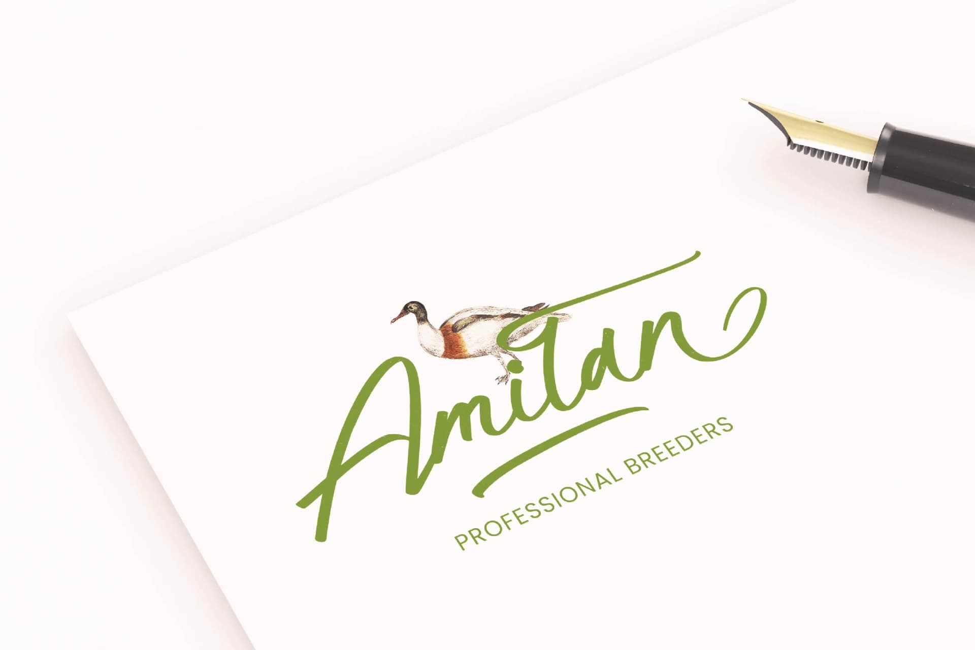 Preview 6 for Hulatin - Modern Brush Script