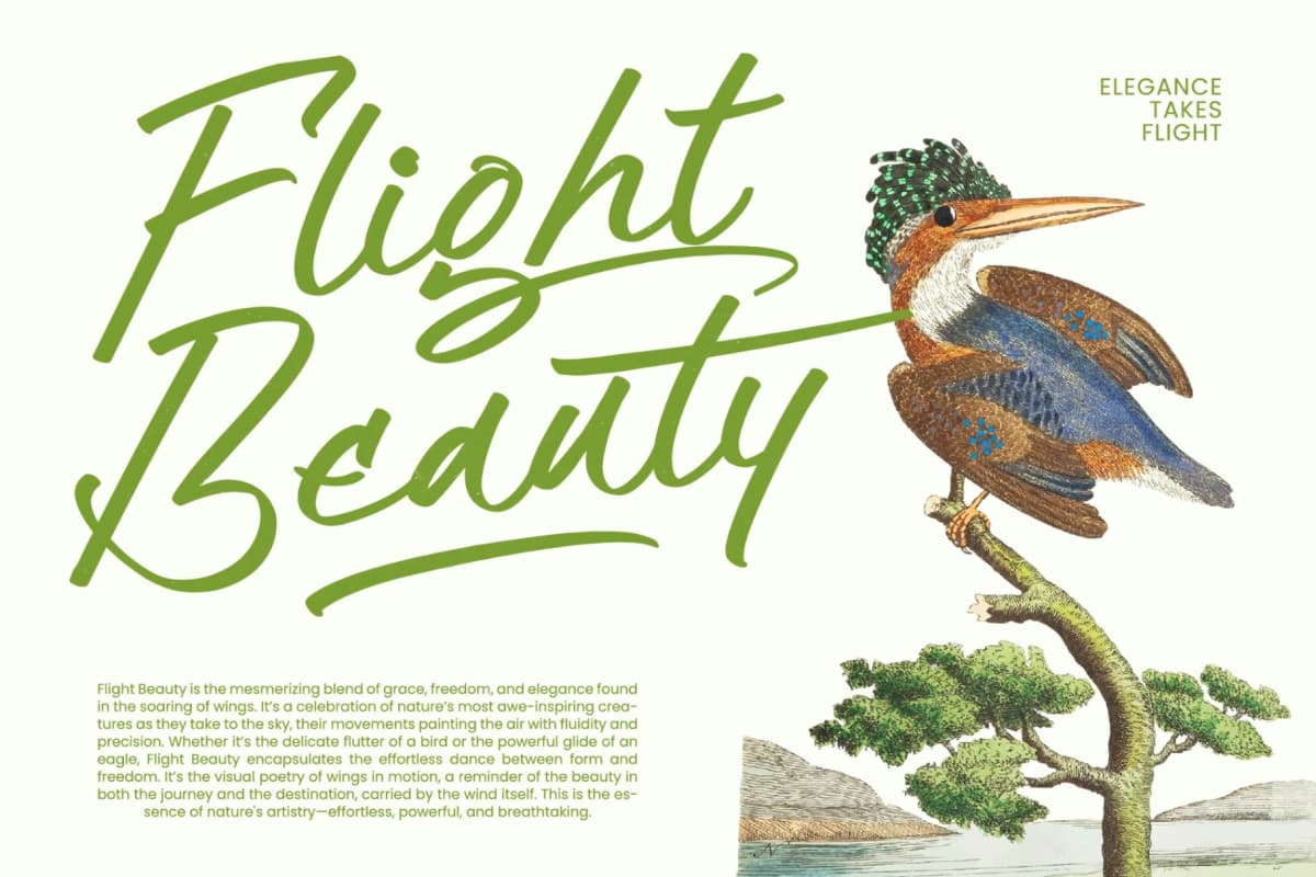 Preview 17 for Hulatin - Modern Brush Script