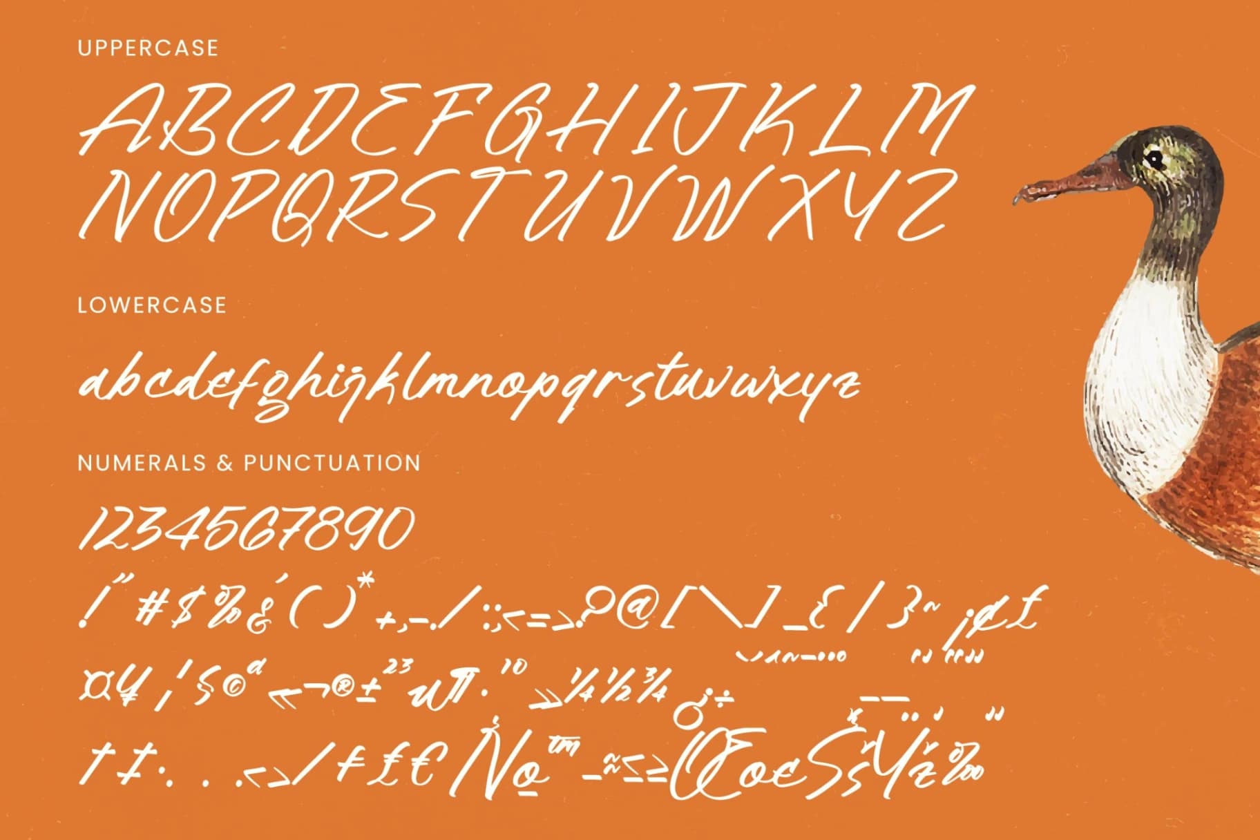 Preview 18 for Hulatin - Modern Brush Script