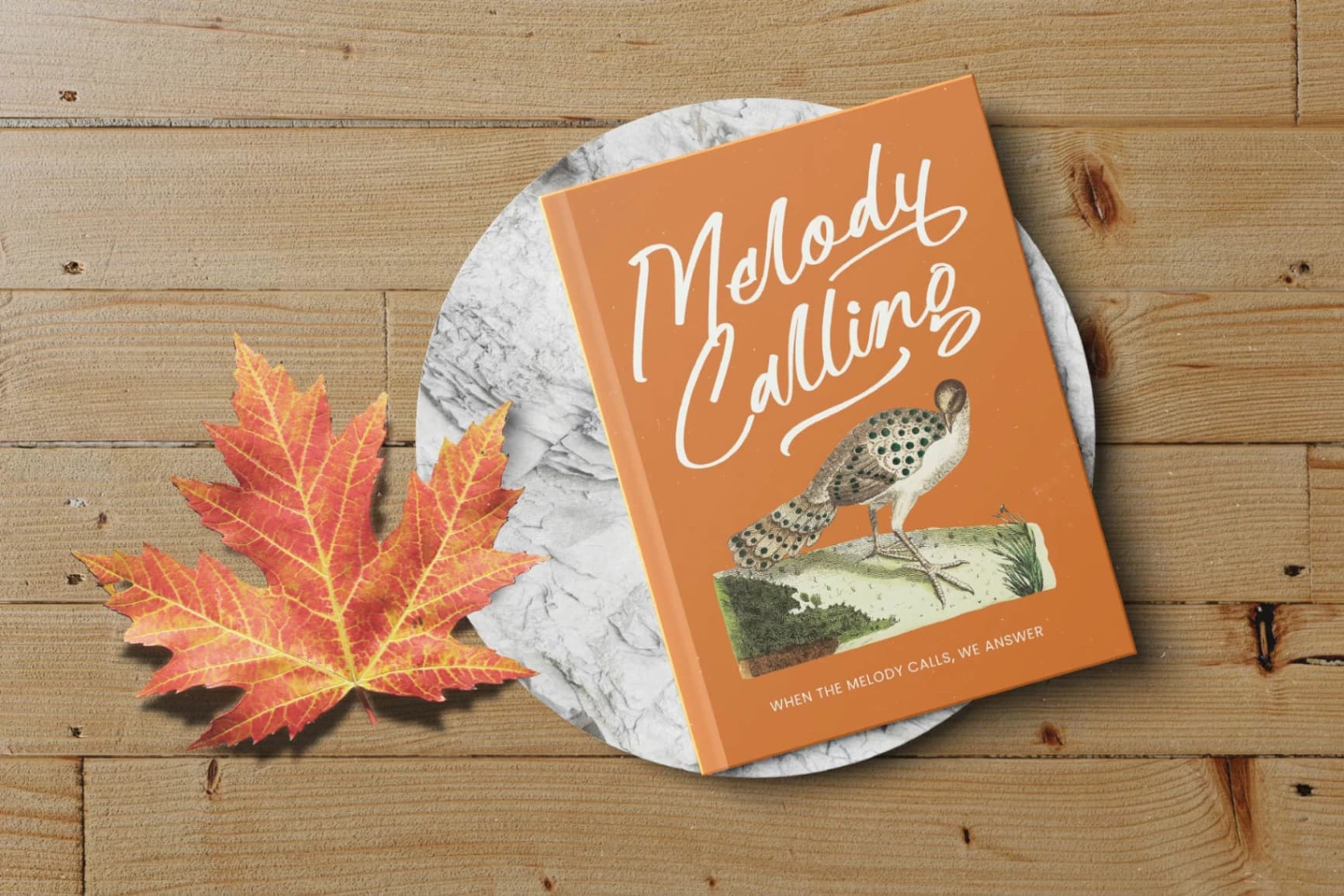 Preview 8 for Hulatin - Modern Brush Script