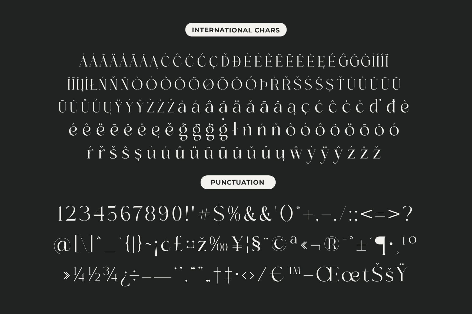 Preview 18 for Sainer Bagora - Modern Serif Typeface