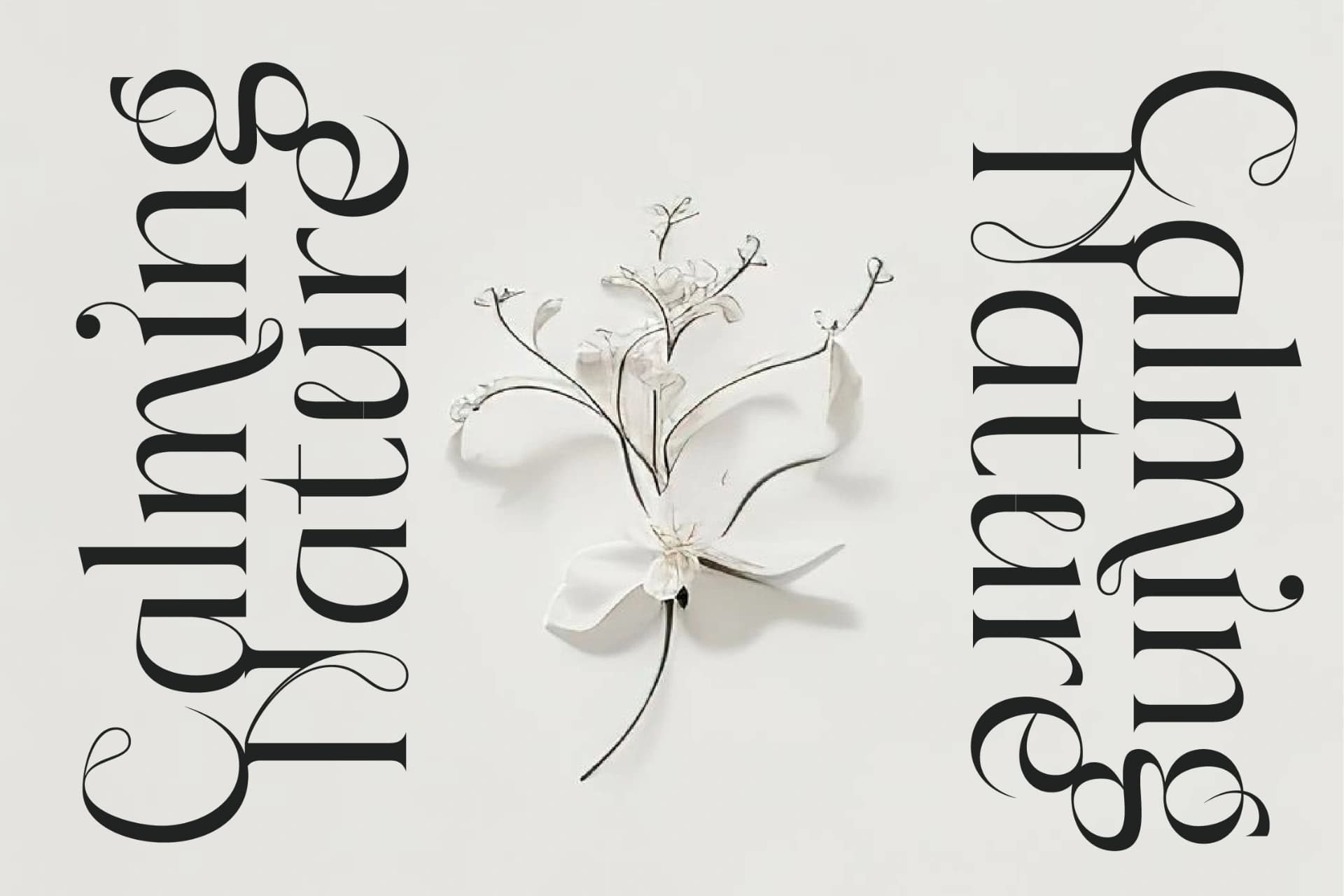 Preview 19 for Sainer Bagora - Modern Serif Typeface