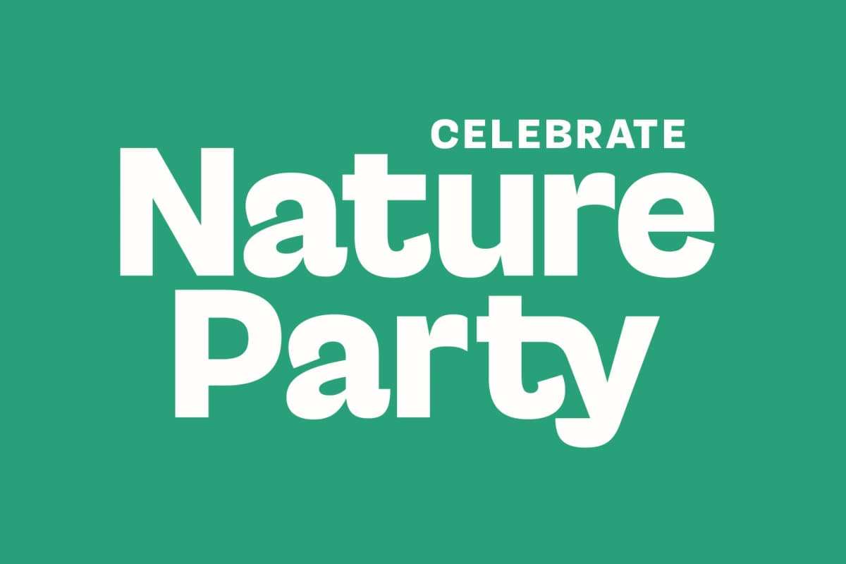Preview 4 for Gesty Ratio - Sans Display Typeface