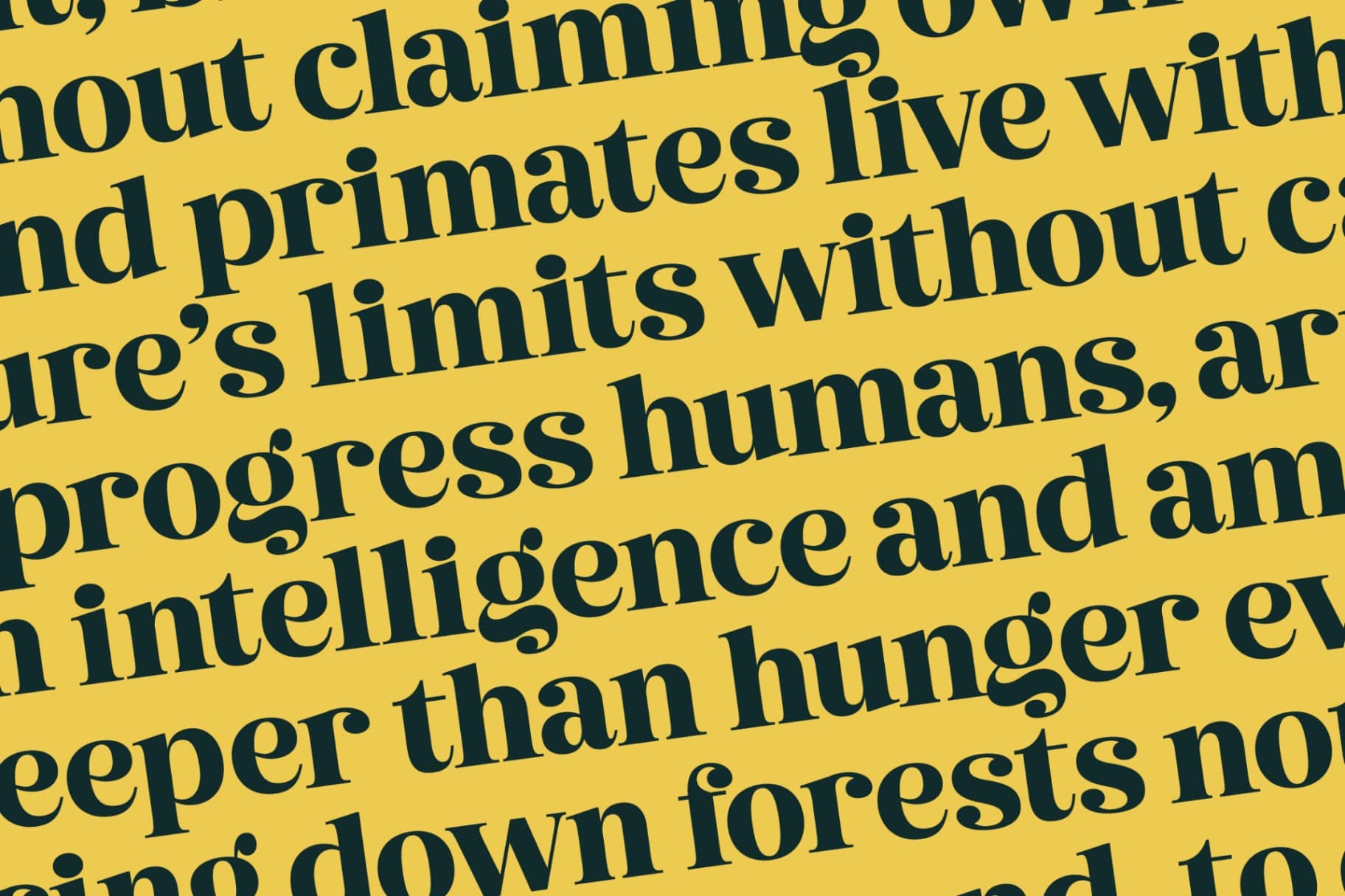 Preview 12 for Metguy Behope - Bold Serif Display