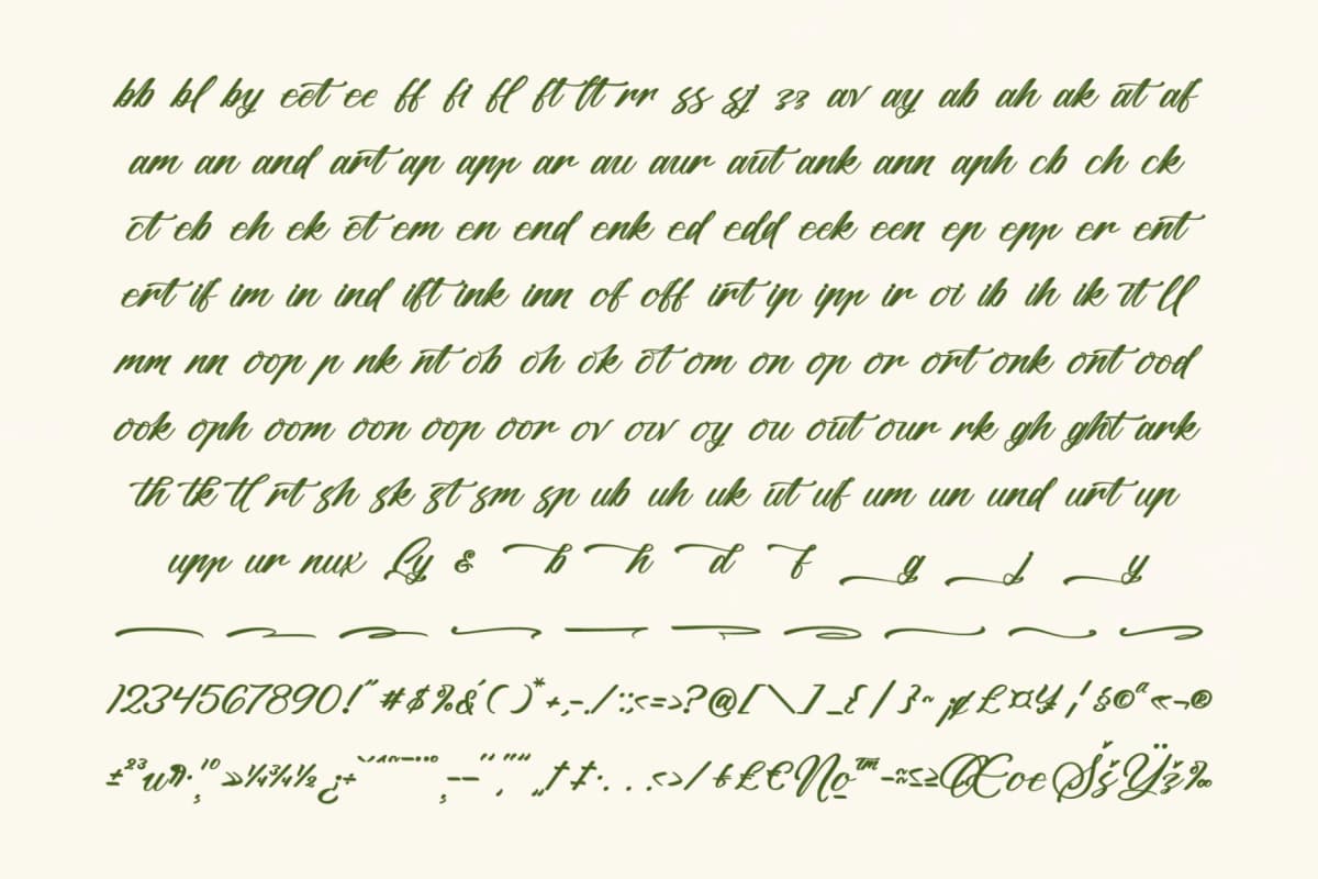 Grand Smith - Modern Brush Font font preview 19