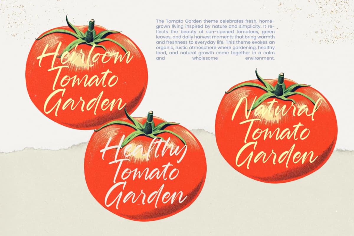 Fordsmith - New Handwritten Script With Urban Elegance font preview 14