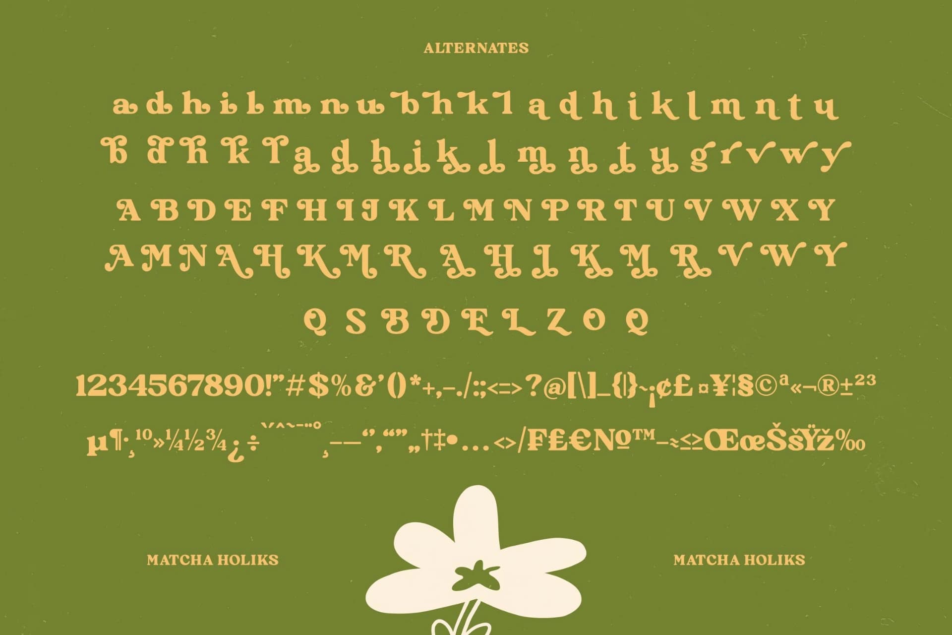 Preview 19 for Matcha Holiks - Groovy Serif Display