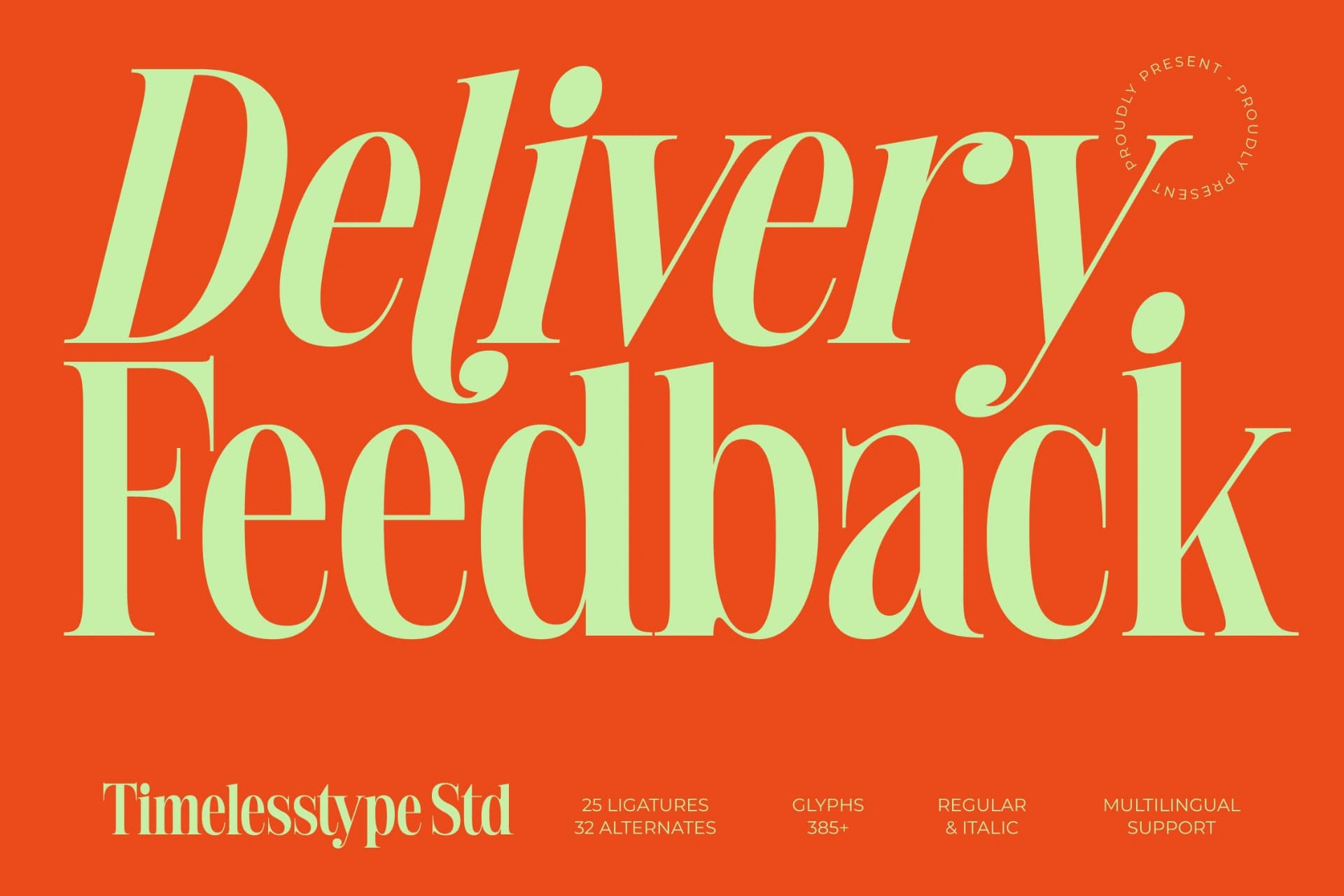 Preview of Delivery Feedback - Modern Serif Font font