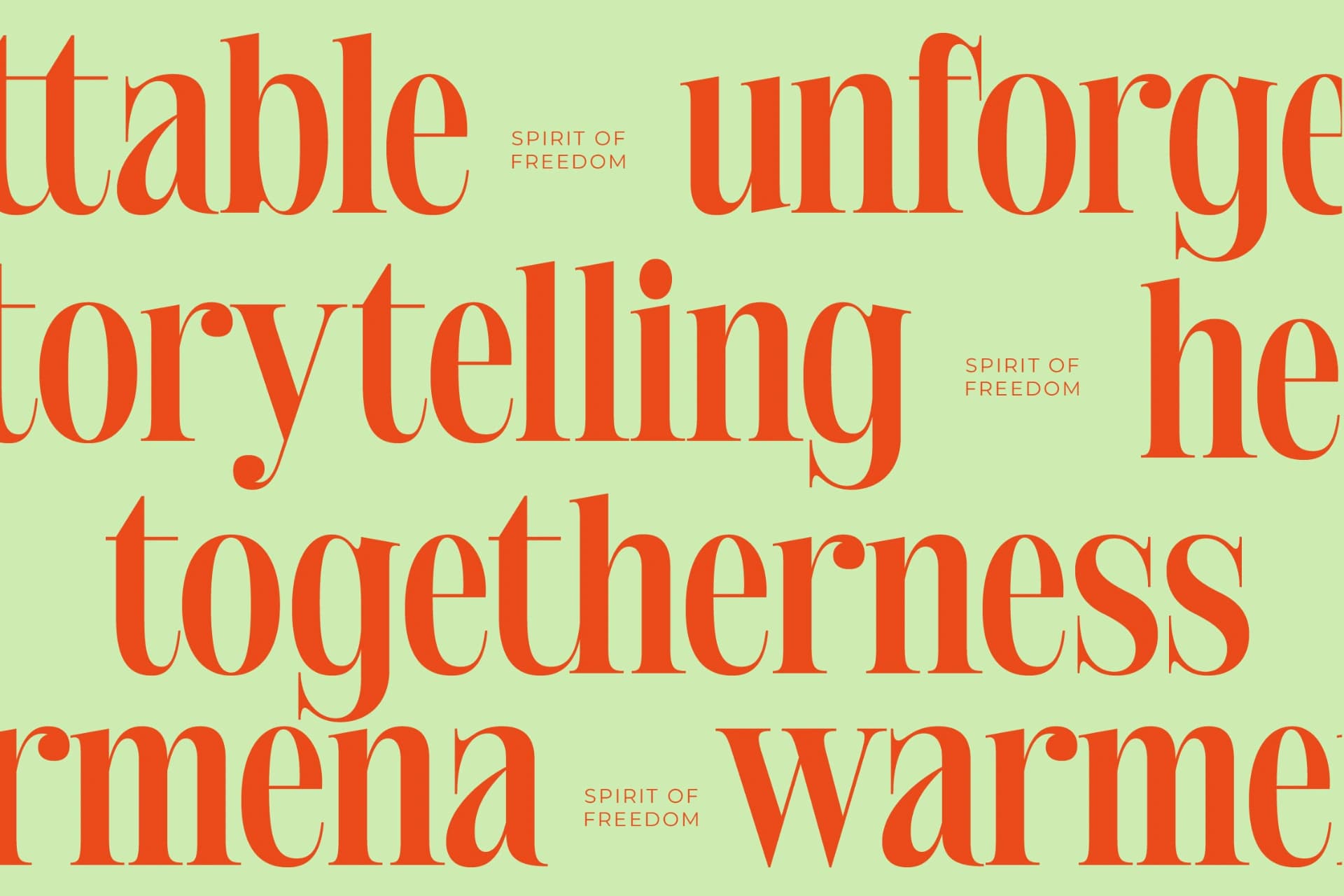 Preview 13 for Delivery Feedback - Modern Serif Font